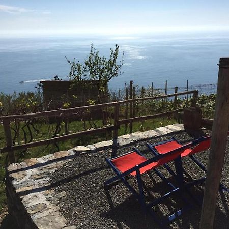 Il Nettare Agriturismo Riomaggiore Dış mekan fotoğraf