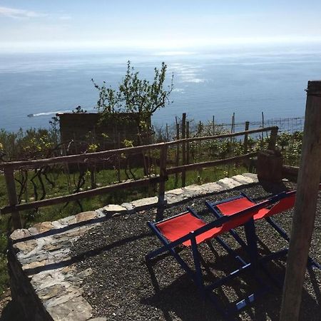 Il Nettare Agriturismo Villa Riomaggiore Dış mekan fotoğraf