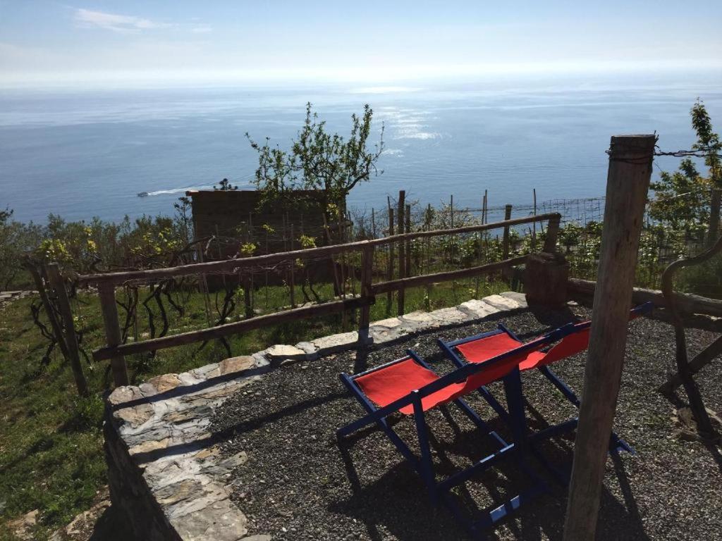 Il Nettare Agriturismo Riomaggiore Dış mekan fotoğraf