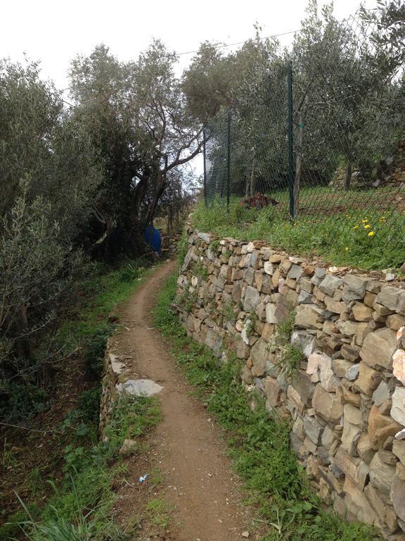 Il Nettare Agriturismo Villa Riomaggiore Dış mekan fotoğraf