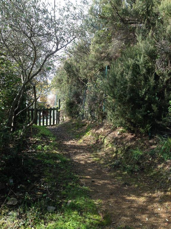 Il Nettare Agriturismo Villa Riomaggiore Dış mekan fotoğraf