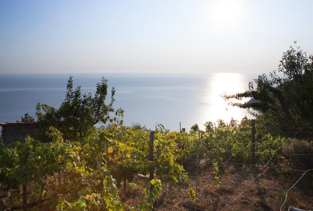 Il Nettare Agriturismo Riomaggiore Dış mekan fotoğraf